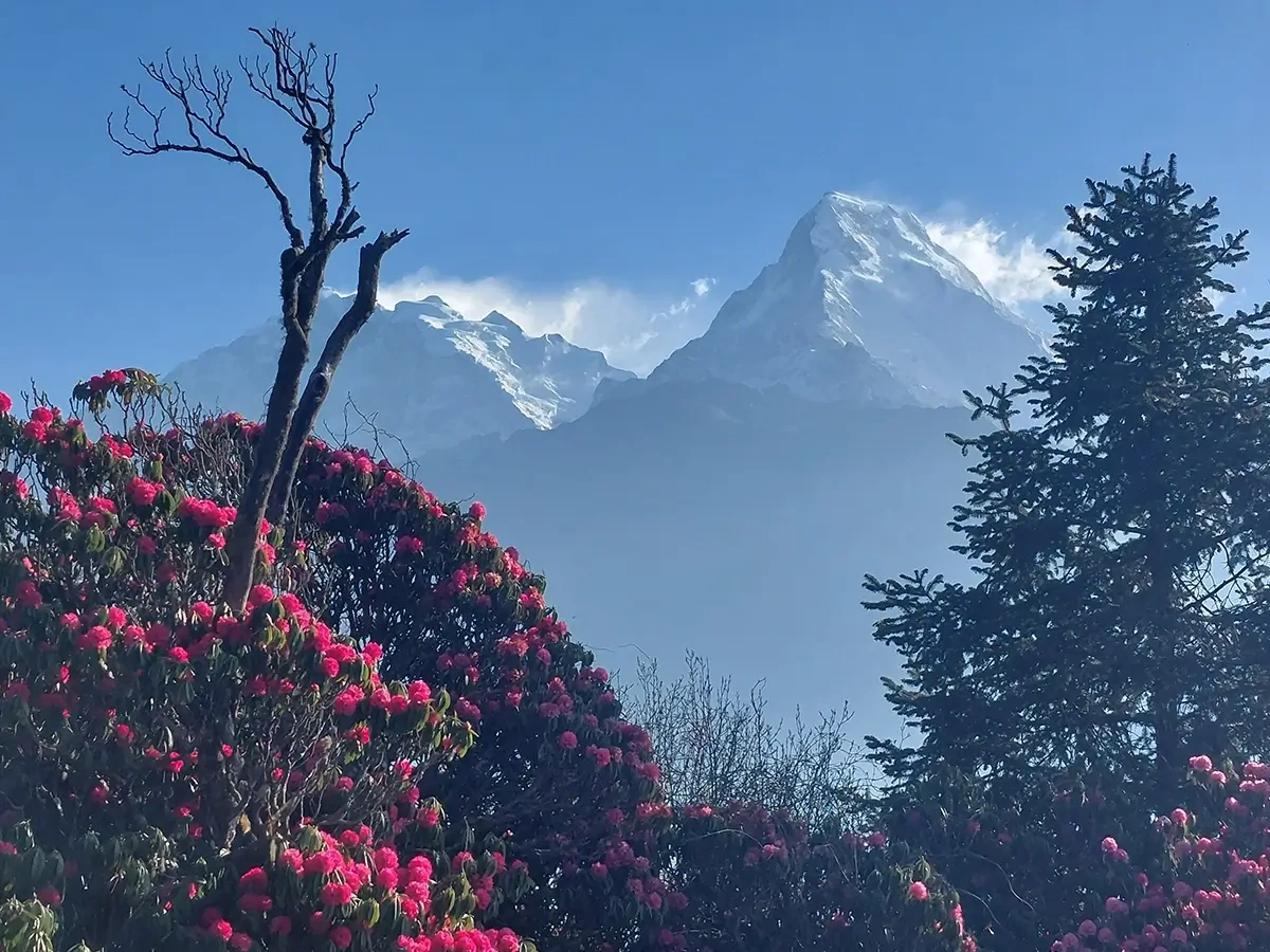 Annapurna south