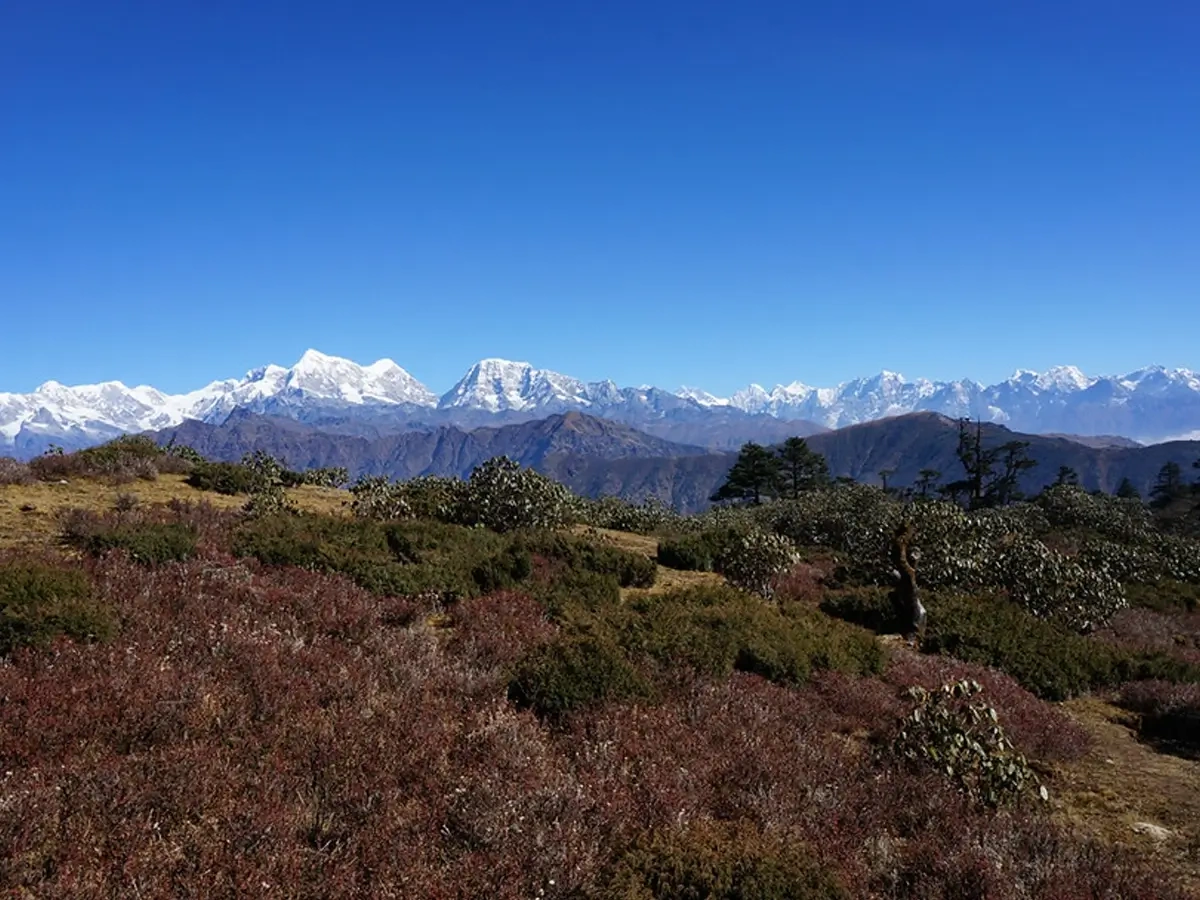 Pikey Peak Range