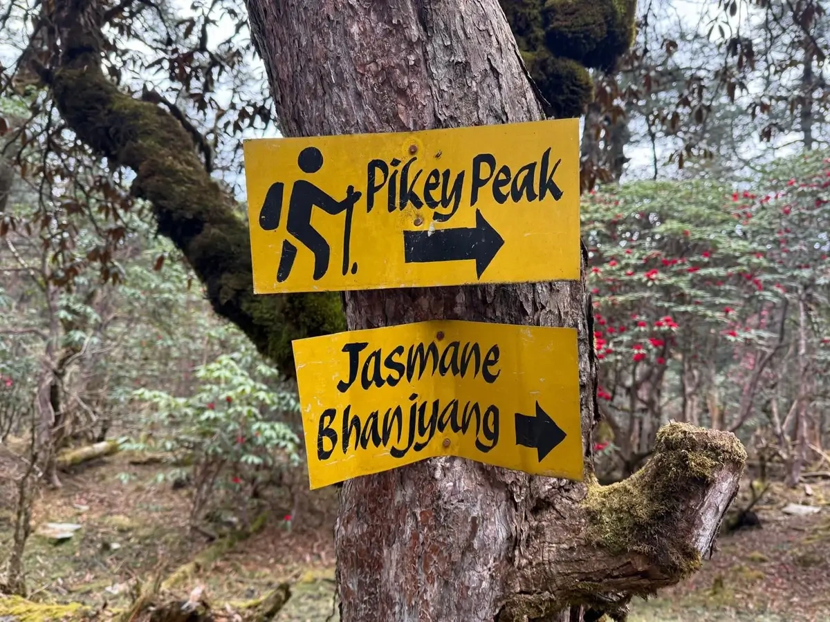 Way to pikey peak